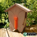 Interactive Butterfly and Moth Habitat